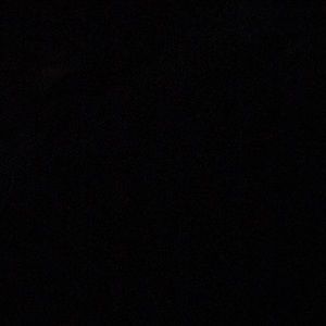 Meet your Posher, Vince